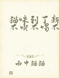 猫咪到了新环境不吃不喝不拉不尿怎么办