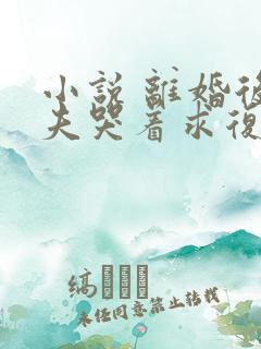 小说 离婚后前夫哭着求复婚