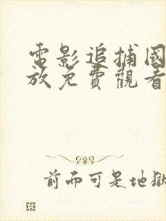 电影追捕国语播放免费观看