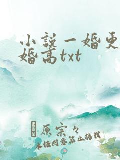 小说一婚更比一婚高txt
