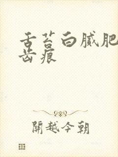 舌苔白腻肥大有齿痕