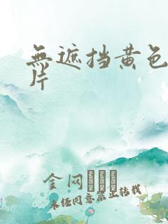 无遮挡黄色一级片