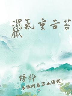 湿气重舌苔白厚腻