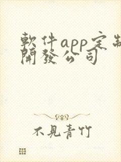 软件app定制开发公司