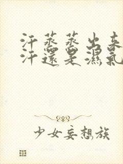 汗蒸蒸出来的是汗还是湿气