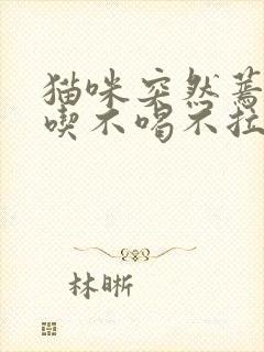 猫咪突然蔫了不吃不喝不拉不尿