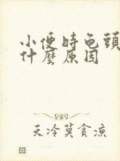 小便时龟头痛是什么原因