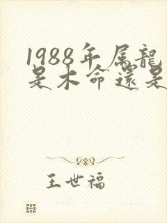 1988年属龙是木命还是土命