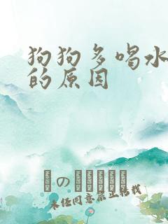 狗狗多喝水多尿的原因
