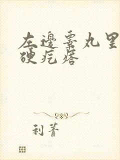 左边睾丸里有个硬疙瘩