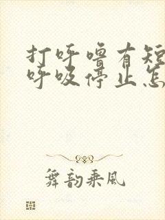 打呼噜有短暂的呼吸停止怎么医治