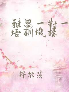 雅思一对一的小培训机构