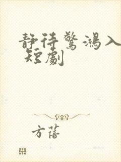 静待惊鸿入瓮慌 短剧