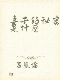 妻子的秘密结局是什么