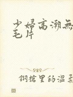 少妇高潮无遮挡毛片