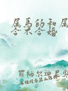 属马的和属猪的合不合婚