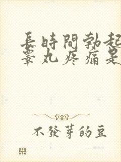 长时间勃起导致睾丸疼痛是怎么回事