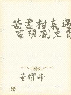 苦尽柑来遇见你 电视剧免费观看中文版