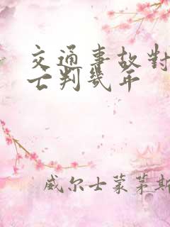 交通事故对方死亡判几年