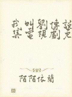 我叫刘传说40集电视剧免费看全集