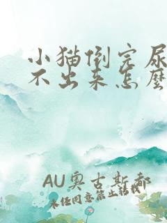 小猫倒完尿还排不出来怎么办