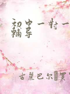 初中一对一历史辅导