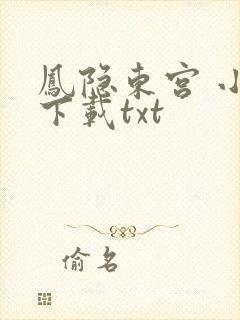 凤隐东宫 小说下载txt
