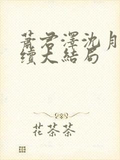 萧君泽沈月柔后续大结局