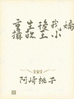 重生后我娇养了摄政王小