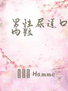 男性尿道口长有肉粒