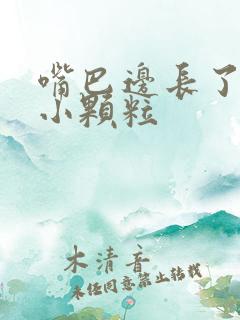 嘴巴边长了很多小颗粒