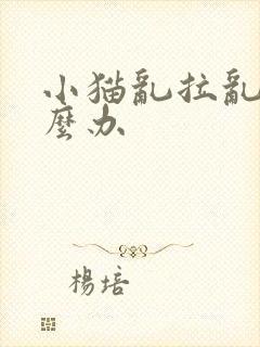 小猫乱拉乱尿怎么办