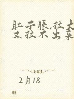 肚子胀,拉大便又拉不出来怎么办