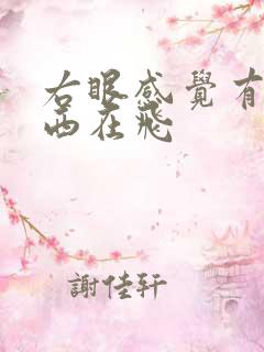 右眼感觉有黑东西在飞