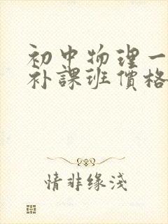 初中物理一对一补课班价格