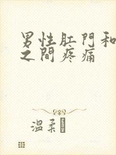 男性肛门和睾丸之间疼痛