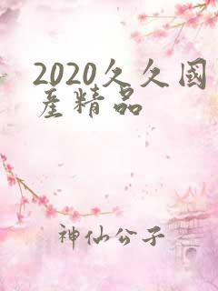 2020久久国产精品
