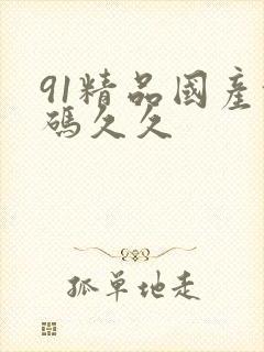 91精品国产乱码久久