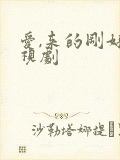 爱,来的刚好电视剧