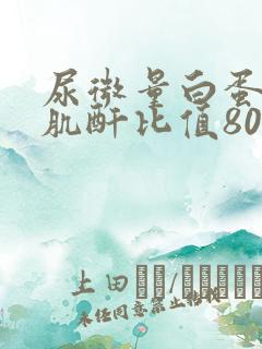 尿微量白蛋白与肌酐比值80