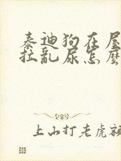 泰迪狗在屋里乱拉乱尿怎么办