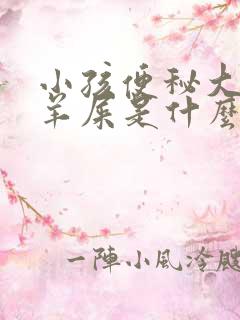 小孩便秘大便拉羊屎是什么原因