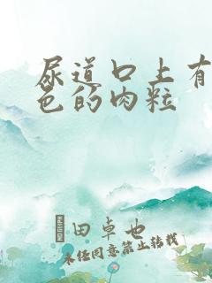 尿道口上有个白色的肉粒