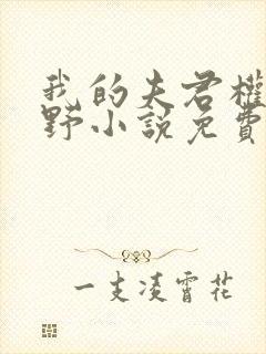 我的夫君权倾朝野小说免费阅读