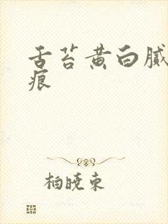 舌苔黄白腻有齿痕