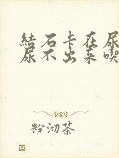 结石卡在尿道口尿不出来吃什么药