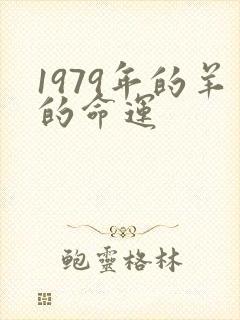 1979年的羊的命运