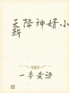 天降神婿小说最新