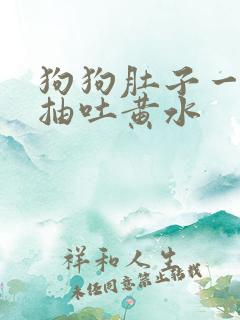 狗狗肚子一抽一抽吐黄水