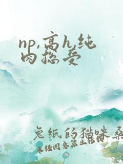 np,高h,纯肉总受